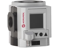 Q84G-6GN-NNE, Excelon Plus Integrated Electronic Pressure Sensor, G3/4"