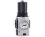 R82R-3AK-RFG, Excelon Plus Reverse Flow Regulator, 3/8" NPT, 0.3-4 bar, integrated gauge